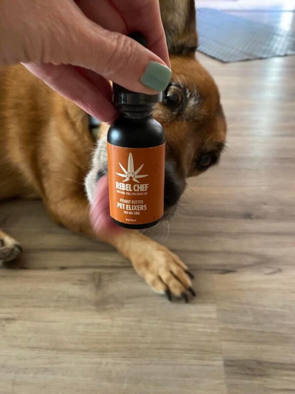 Dog loves CBD Pet Elixir